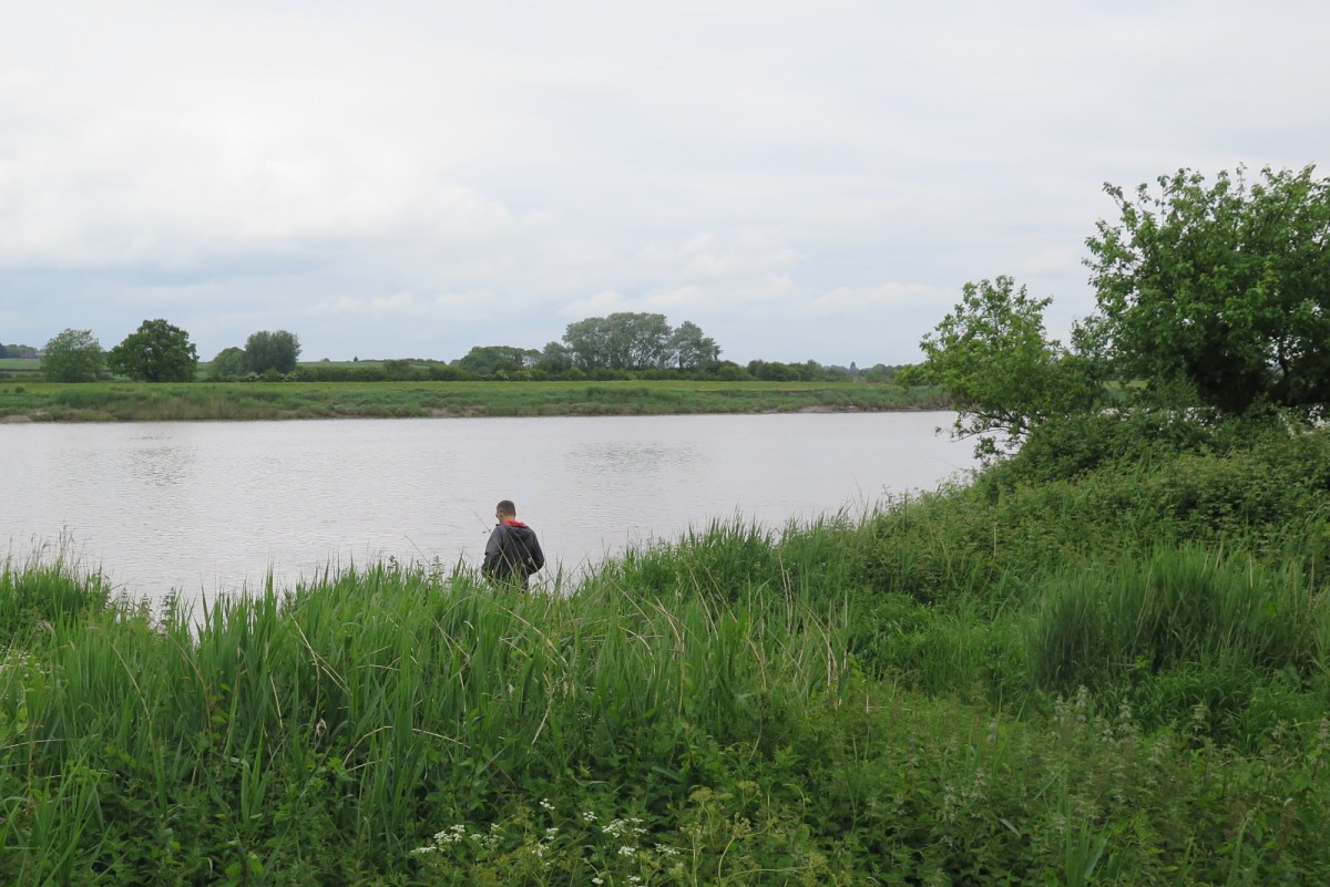 Canal walk 1 – Severn to Saul&nbsp;Junction