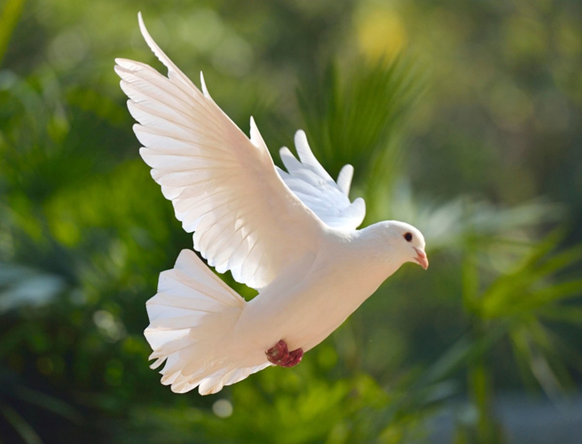Jargon and the Holy&nbsp;Spirit