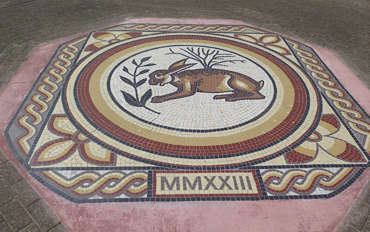 Image of the day –&nbsp;64