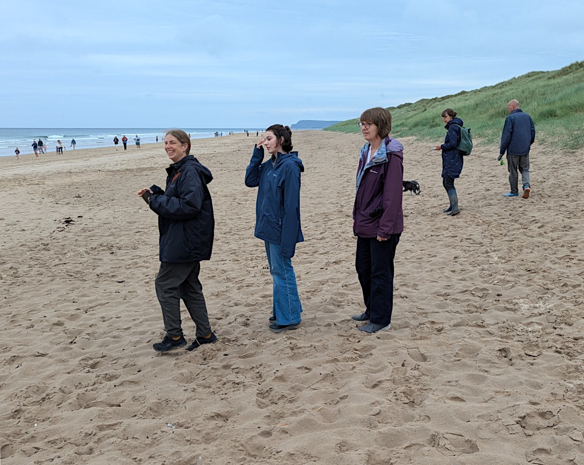 Image of the day –&nbsp;85