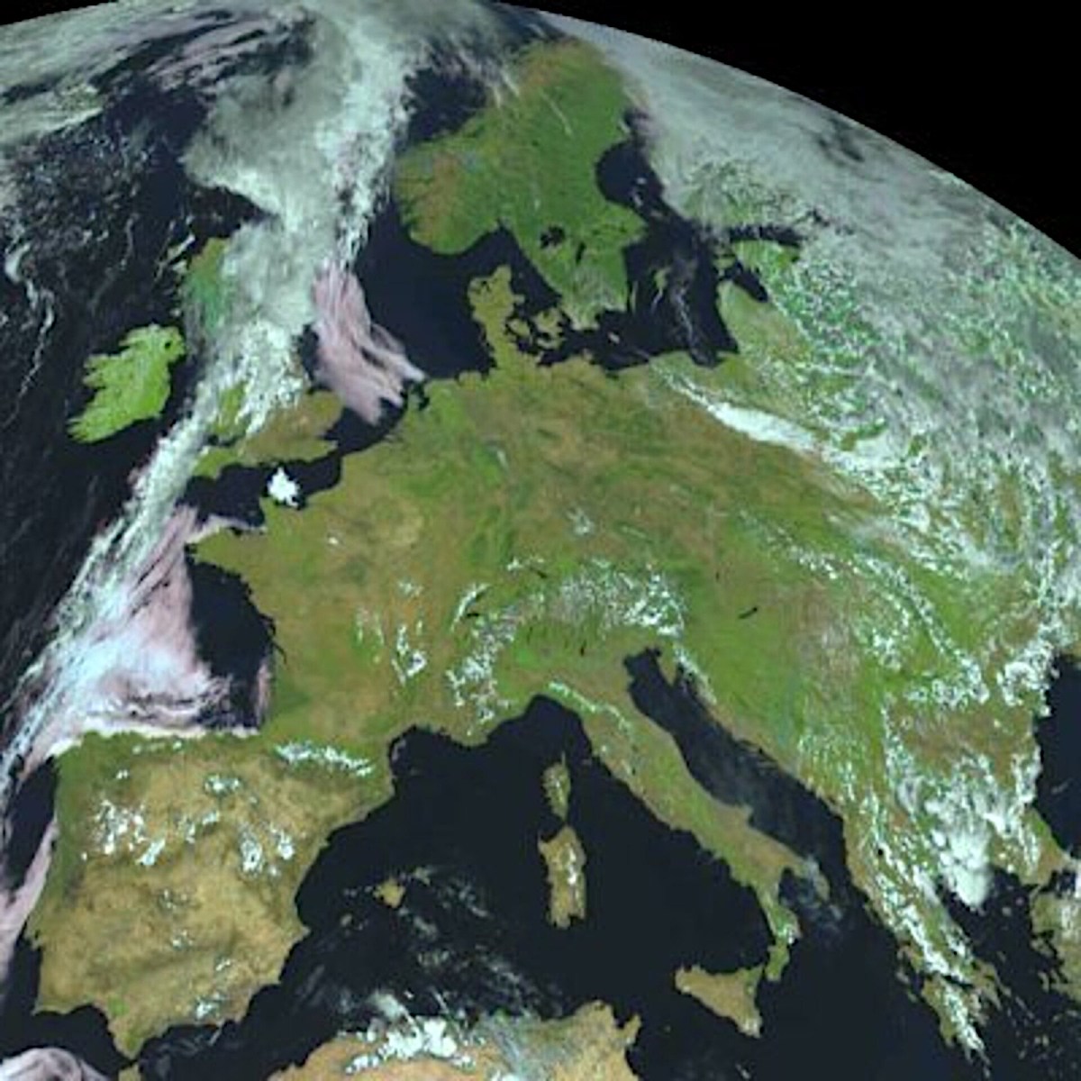 Climate emergency!